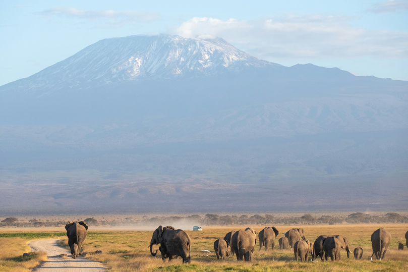 Day 9 - Tsavo West – Game viewing and exploration